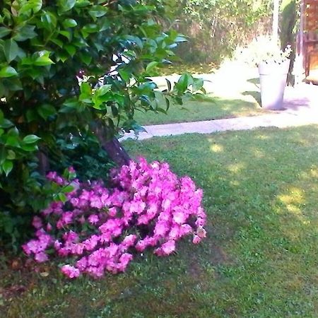 Le Clos Des Palombes Wifi Climatisation Saint-Pierre-du-Mont (Landes) Exterior foto