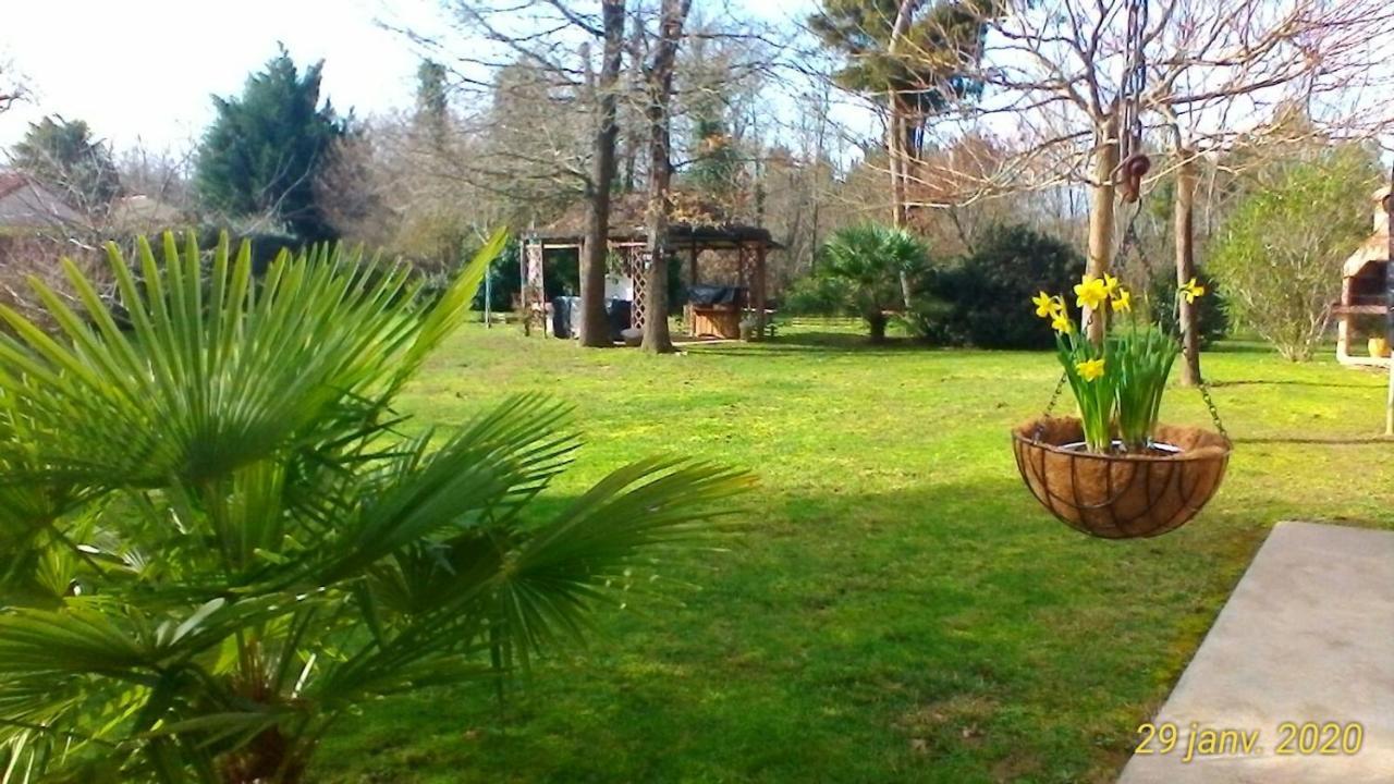 Le Clos Des Palombes Wifi Climatisation Saint-Pierre-du-Mont (Landes) Exterior foto