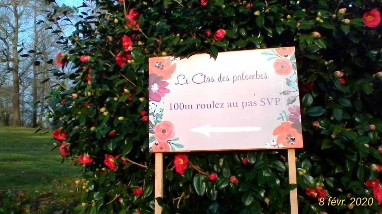 Le Clos Des Palombes Wifi Climatisation Saint-Pierre-du-Mont (Landes) Exterior foto