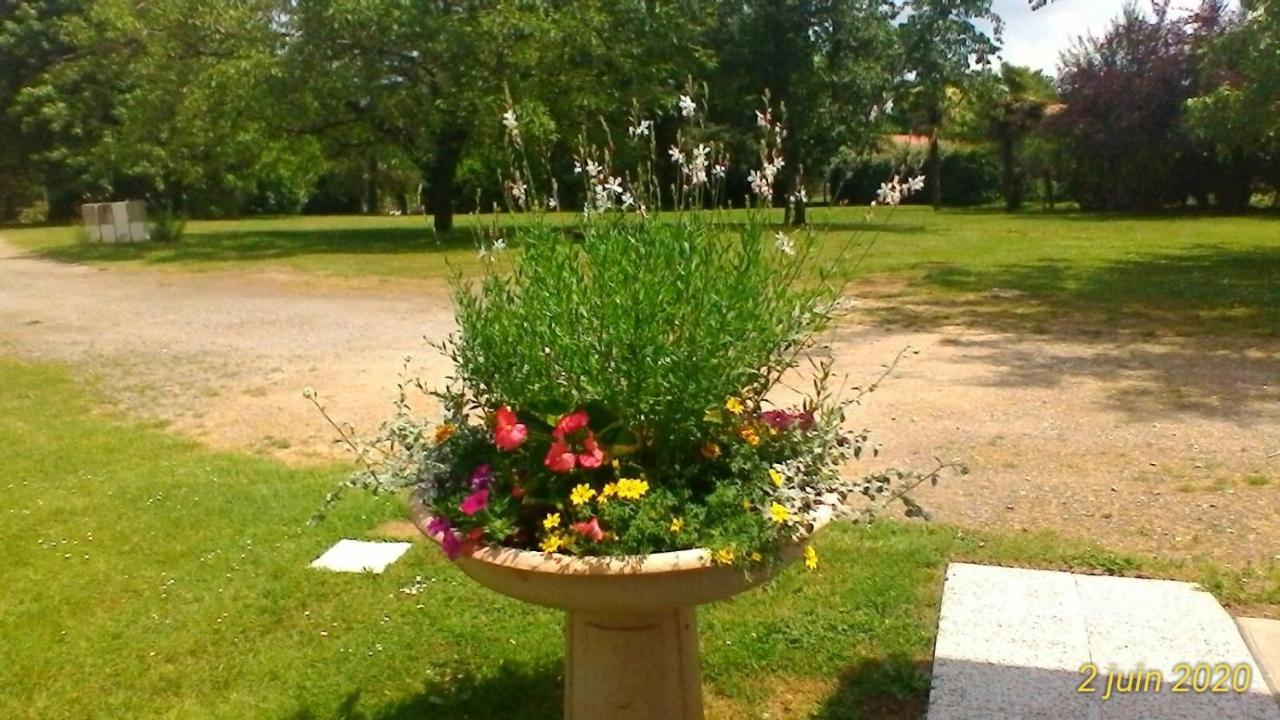 Le Clos Des Palombes Wifi Climatisation Saint-Pierre-du-Mont (Landes) Exterior foto