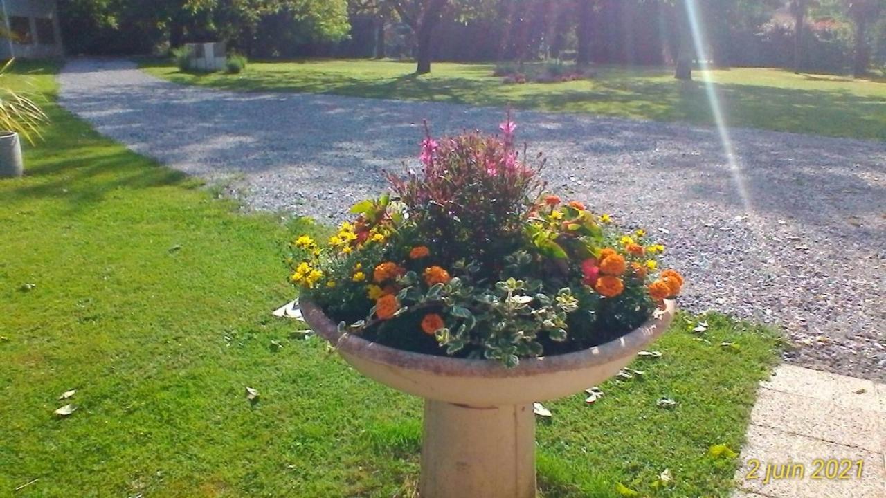 Le Clos Des Palombes Wifi Climatisation Saint-Pierre-du-Mont (Landes) Exterior foto