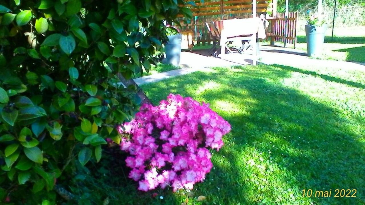 Le Clos Des Palombes Wifi Climatisation Saint-Pierre-du-Mont (Landes) Exterior foto