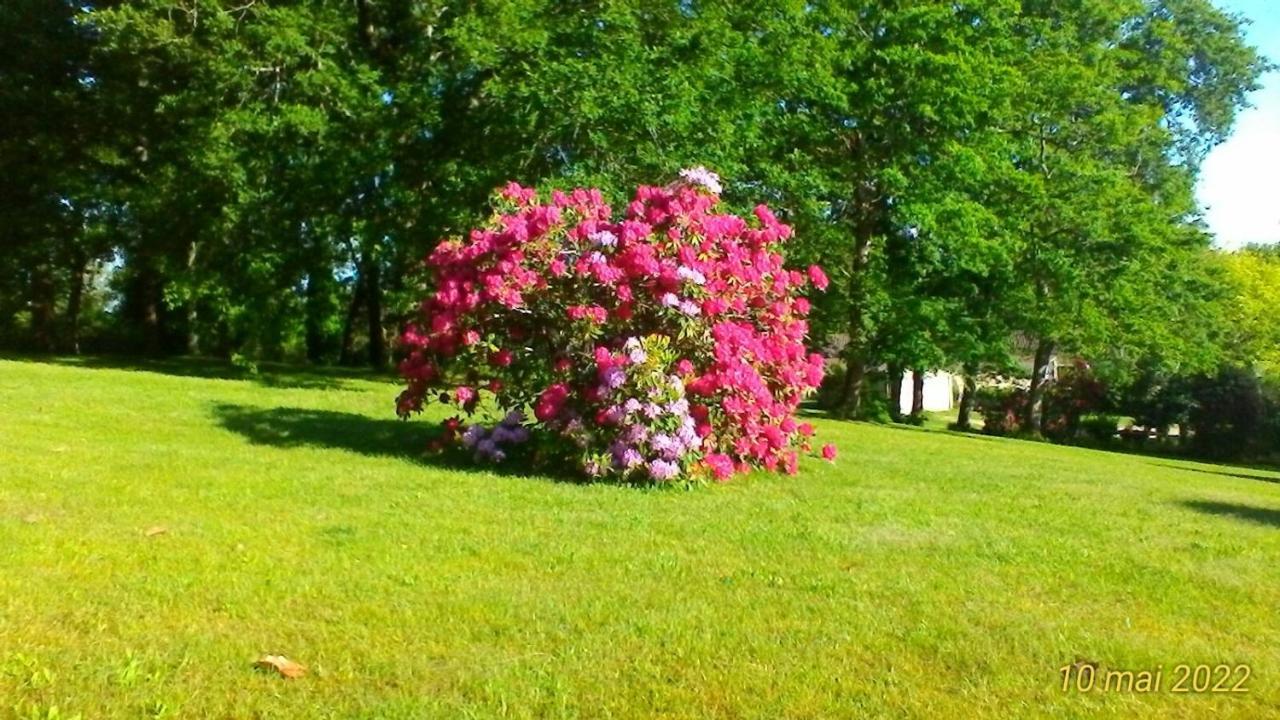 Le Clos Des Palombes Wifi Climatisation Saint-Pierre-du-Mont (Landes) Exterior foto