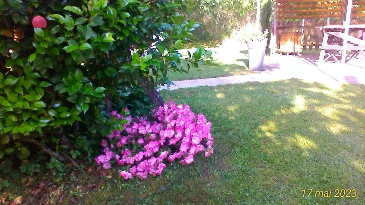 Le Clos Des Palombes Wifi Climatisation Saint-Pierre-du-Mont (Landes) Exterior foto