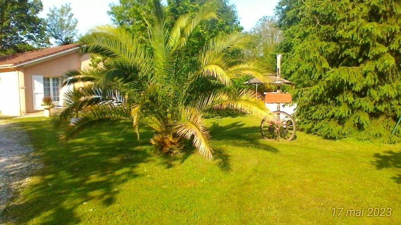 Le Clos Des Palombes Wifi Climatisation Saint-Pierre-du-Mont (Landes) Exterior foto