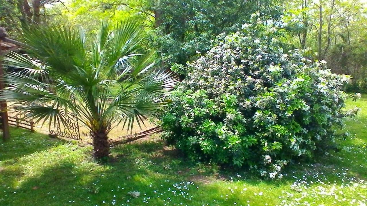 Le Clos Des Palombes Wifi Climatisation Saint-Pierre-du-Mont (Landes) Exterior foto