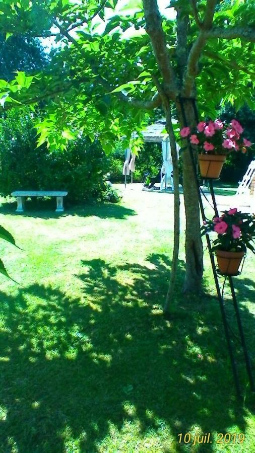 Le Clos Des Palombes Wifi Climatisation Saint-Pierre-du-Mont (Landes) Exterior foto