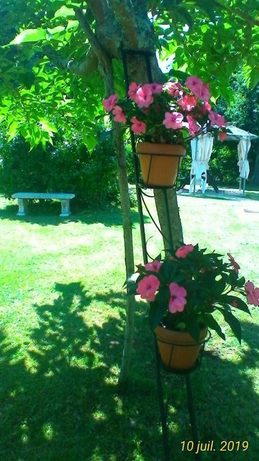 Le Clos Des Palombes Wifi Climatisation Saint-Pierre-du-Mont (Landes) Exterior foto